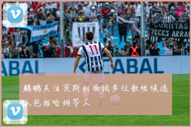 鹈鹕关注莫斯利面试多位教练候选人包括哈姆等人