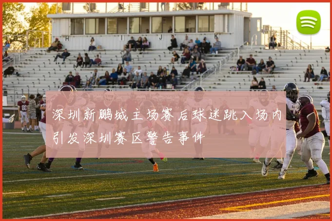 深圳新鹏城主场赛后球迷跳入场内引发深圳赛区警告事件